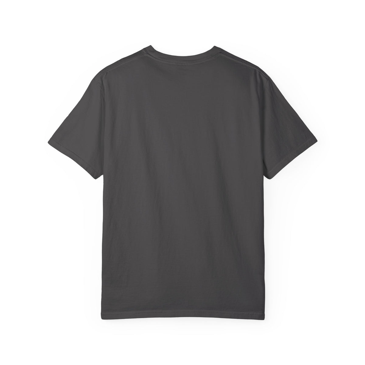 Herring Gull Friendship T-Shirt | Coastal Seabird Graphic Tee